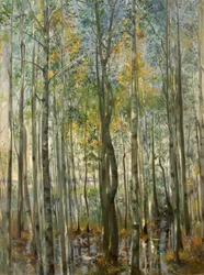 Una foresta. Inondazioni sul lago di Starnberg