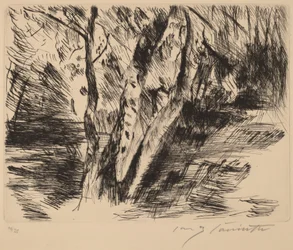 Betulle nel Tiergarten