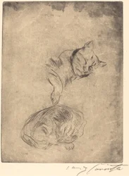 Studio di gatti, 1920