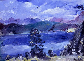 Lago di Walchen con larice