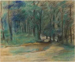 Sentiero nel bosco