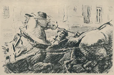 Cavalli Percheron, 1919