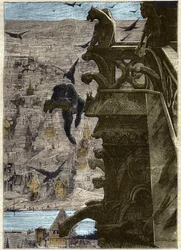 Immagine sconosciuta