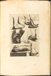 Stampa dal libro di disegni