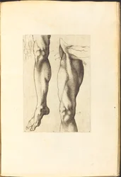 Stampa dal libro di disegni