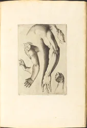 Stampa dal libro di disegni