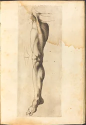 Stampa dal libro di disegni