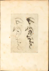 Stampa dal libro di disegni