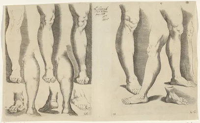 Studi di gambe