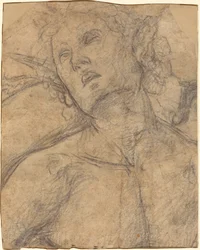 Busto di un Giovane che Guarda in Alto