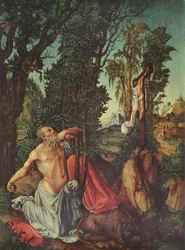 Tedesco: San Girolamo Penitente San Girolamo Penitente