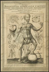 Seconda visione, da Specchi del microcosmo