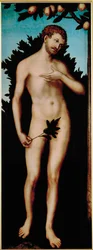 Adamo