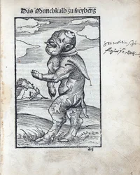 Monaco Vitello di Freiberg (Das Mönchskalb zu Freiberg), di Lucas Cranach il Vecchio. Xilografia