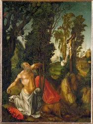 San Girolamo penitente (dipinto su legno di tiglio)