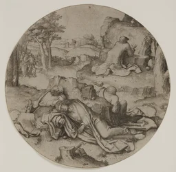 Agonia nel Giardino
