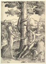 La caduta dell