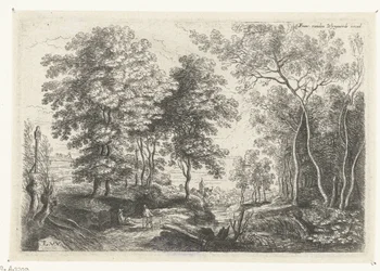 Paesaggio con un ruscello attraverso un bosco