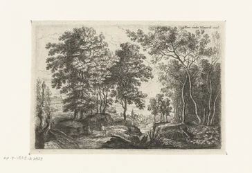 Paesaggio con un ruscello attraverso un bosco