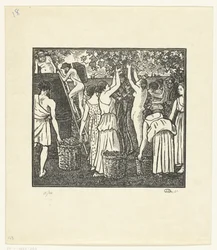 La vendemmia
