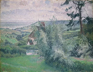 Salici, stagno di pesci, Dorset