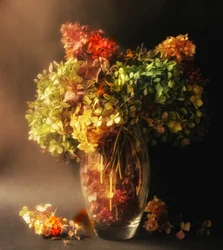 Natura morta con ortensie appassite