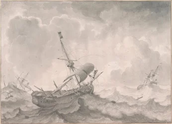 Navi in mare tempestoso