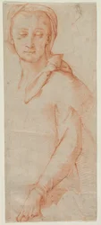 Studio di figura femminile a mezzo busto