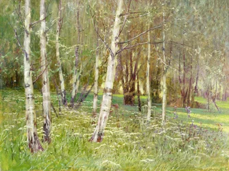 Paesaggio Boschivo