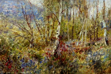 Bosco, di Ludovico Cavaleri (1867-1942), olio su pannello, 50x75 cm