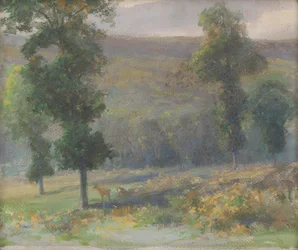 Cervo nella foresta