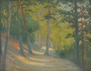 Sentiero verso il fiume