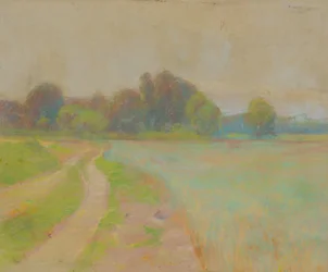Strada vicino a un campo