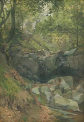 Ruscello nel bosco