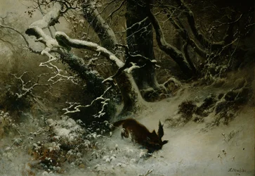 Paesaggio invernale