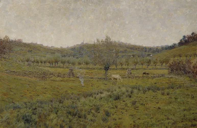 Pascolo