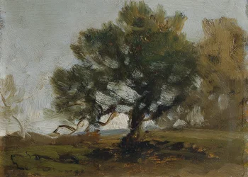 Paesaggio