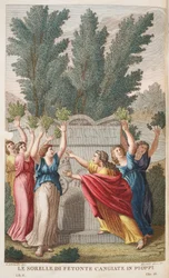 Le sorelle di Fetonte cangiate in pioppi, illustrazione dalle Metamorfosi di Ovidio, Firenze, 1832