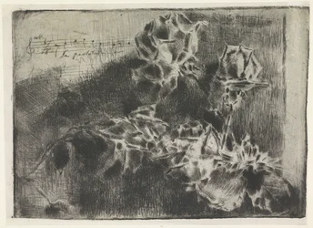 Ramo di rosa