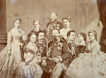 Il quadro ritrae vari membri della famiglia reale di Savoia. Al centro, seduti, Vittorio Emanuele II, Umberto I e Amedeo in uniforme da cerimonia; le figlie del sovrano ed Elisabetta di Sassonia in abiti eleganti.