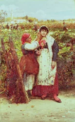 Contadini in un vigneto