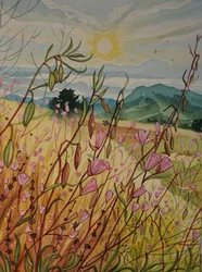 Alba sul campo rosa
