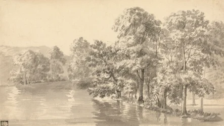 Alberi vicino a un lago
