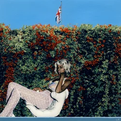 Stars Make Wishes on her Eyes, c.2011 (pittura acrilica su carta)