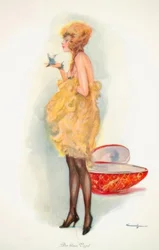 Bellezze
