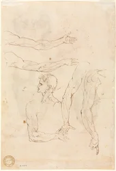 Schizzi di cinque braccia e una testa (verso)