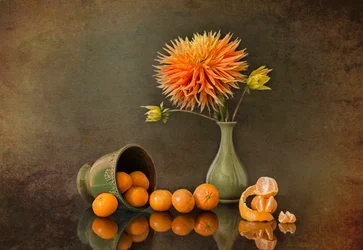 Dalia autunnale e mandarini
