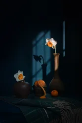 Narcisi, agrumi e ombre