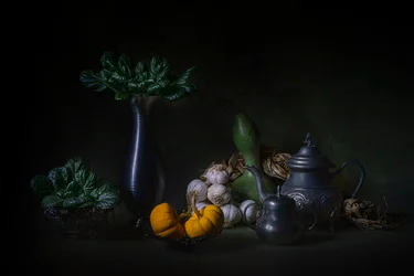 Natura morta del raccolto scuro