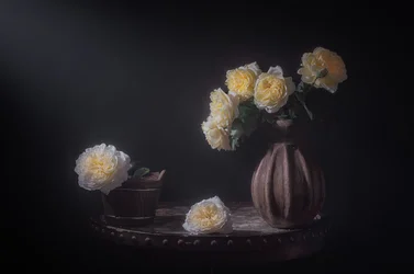 Eleganti rose gialle